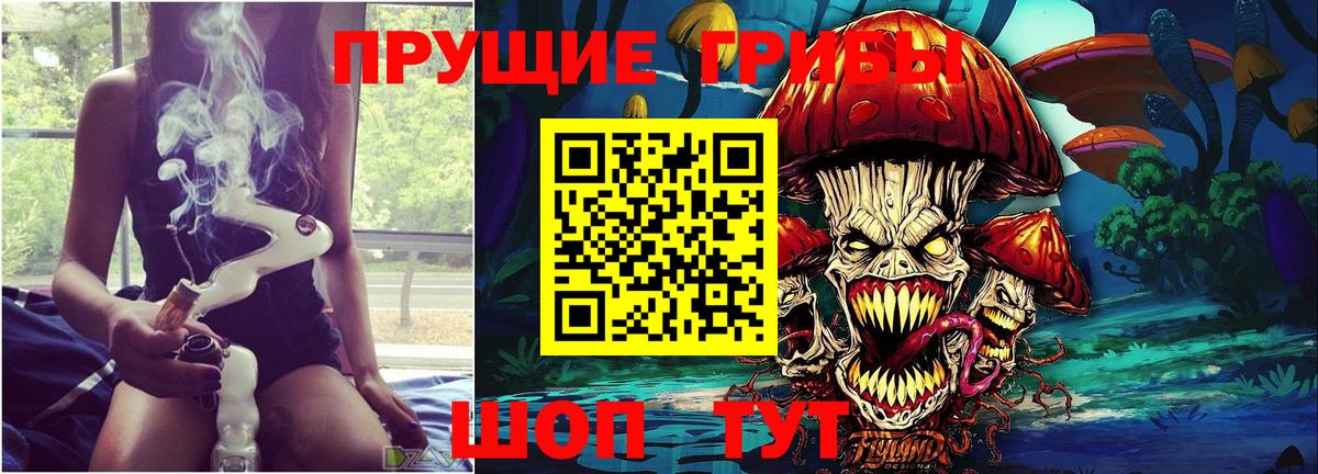 Галлюциногенные грибы GOLDEN TEACHER Берёзовский